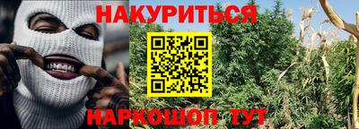 гидра Лесосибирск