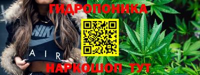 гидра Лесосибирск